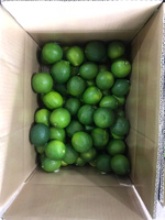 Premium Verse Louche Limoen Sappig, Pittig En Volledig Natuurlijk, Zorgvuldig Uitgekozen, Boerderijverse Limoenen Voor Export [K]