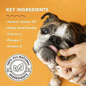 โออีเอ็ม/โอดีเอ็ม แคนนีนโคทเฮลธ์ โอเมก้า-3 สำหรับ<span class=keywords><strong>สุนัข</strong></span>แบบเคี้ยวเนื้อนุ่ม - แคลเซียมออร์แกนิกและวิตามินอี เสริมสร้างภูมิคุ้มกัน ปลอดภัยสำหรับลูก<span class=keywords><strong>สุนัข</strong></span>และ<span class=keywords><strong>ลูก</strong></span>แมว - Product Image 6