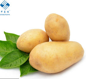 Wholesale OEM High Quality Export Oriented Fresh <b>Potatoes</b> Year Round 1st Grade 1 Container - Product Image 2