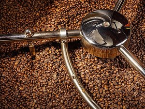 ลิ้มรสเมล็ดกาแฟคั่วอย่างมีศิลปะสำหรับการชงที่สมบูรณ์แบบการส่งออกจำนวนมาก | 100% พรีเมี่ยมขายส่ง - Product Image 6