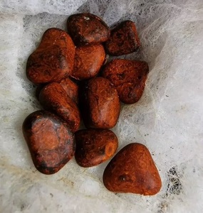 Proveedor a Granel de Cálculos Biliares de Buey Naturales Premium |   Cálculos Biliares Bovinos de Alta Calidad para Exportación - Product Image 2