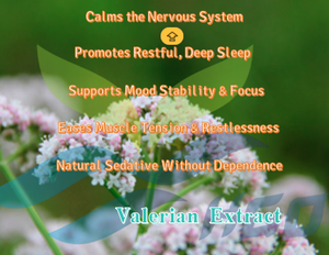 Hgo Nhà máy cung cấp trực tiếp của tinh khiết tự nhiên <span class=keywords><strong>valerian</strong></span> chiết xuất (cấp thực phẩm) Đặc điểm kỹ thuật 10:1 (tỷ lệ chiết xuất) - Product Image 5