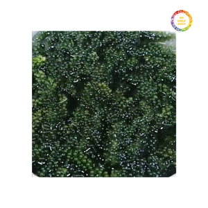 Raisins de mer frais de qualité supérieure Umibudo Seaweed du Vietnam Meilleur choix pour les restaurants de sushis japonais et de sashimi dans le monde entier - Product Image 1