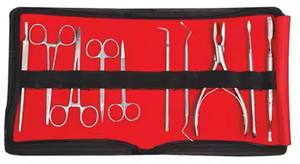 Kit de instrumentos quirúrgicos veterinarios profesionales de 29 piezas, herramientas manuales de acero inoxidable, base para procedimientos con animales - Product Image 2