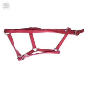 Couleurs personnalisées Accessoires pour chevaux Vente en gros de selle anglaise Designer Horse Halter en sangle PP - Product Image 3