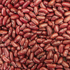 Venta al por mayor de frijoles rojos secos de alta calidad, envasados al vacío, con 60% de proteína, 10% de humedad, 2% de ceniza, 2 años de duración, Alemania - Product Image 1