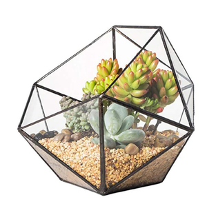 Terrarium en verre géométrique octogonal avec bords dorés, contenant des plantes succulentes artificielles et des pierres décoratives blanches en vente en gros - Product Image 6