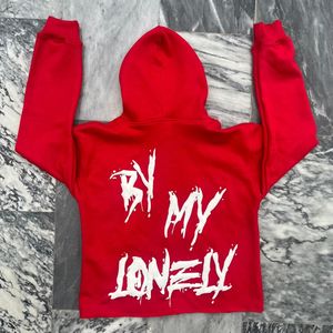 Sweat à capuche en coton épais de haute qualité pour hommes Sweat-shirt personnalisé surdimensionné imprimé bouffée avec techniques brodées - Product Image 2