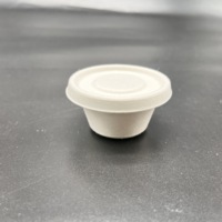 Boîte de Sauce à Bagasse biodégradable, taille et couleur personnalisées, prix de gros, fabriqué au Vietnam, marque plus riche