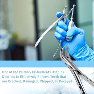 Pinces d'extraction de dents dentaires avec logo personnalisé de qualité supérieure Pinces d'extraction d'instruments dentaires en acier inoxydable - Product Image 6