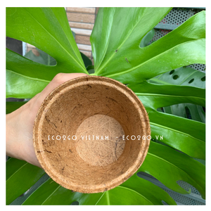 Fibre de coco biodégradable 100% organique/Pots de coco coco/Pots de plantes en fibre de coco d'Eco2go Vietnam - Product Image 3