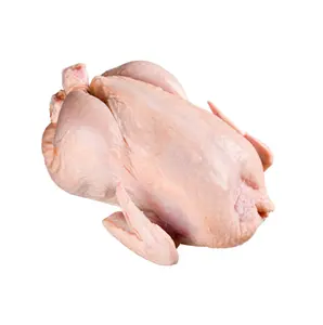 Poulet congelé de haute qualité, poulet cru entier à bas prix