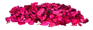 Pot-pourri Aroma Fleurs Sèches Pot-pourri Sacs Désodorisant Fleur Sèche Naturelle Décoration Fleur Sèche Naturelle - Product Image 4