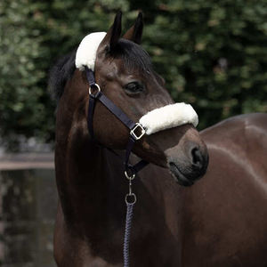 Cabestros de caballo de cuero estilo sillín inglés recién llegado de la mejor calidad, cabeza de nariz acolchada ajustable suave y cómoda - Product Image 6