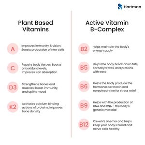 Tiras Orales Multivitamínicas 100% RDA con Nutrientes Esenciales para la Salud Diaria y la Inmunidad - Product Image 6