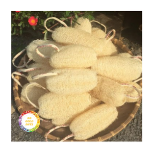 LOOFAH NATUREL ÉCOLOGIQUE DU VIETNAM FOURNISSEUR PRODUIT DE NETTOYAGE DE QUALITÉ SUPÉRIEURE POUR LES AFFAIRES D'EXPORTATION - Product Image 1