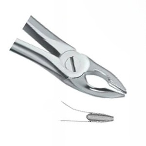 Forceps d'extraction dentaire Fig35, manuel, en acier inoxydable de haute qualité, certifié CE, instruments dentaires, vente chaude, logo personnalisé - Product Image 4