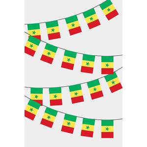 Rectangular Senegal Flag Party <b>Banners</b> Guirlande for Decorations and Celebrations - Product Image 1