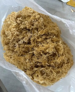 Cottonii มอสทะเลแห้ง100% พรีเมี่ยม/มอสไอริช/Eucheuma cottonii สาหร่ายเกรดต่ำ