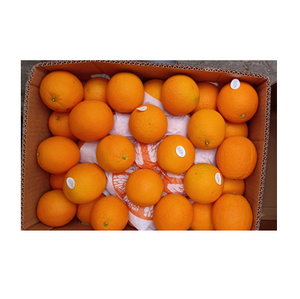 Naranjas Frescas de la Mejor Calidad de Portugal, Cítricos Orgánicos - Product Image 4