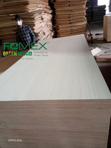 Lámina de Madera Contrachapada de Alta Calidad para Muebles, Núcleo de Madera Dura, Grado B/BB/CP, 9/12/15/18/24 mm, E0 Industrial, Abedul, Álamo, Eucalipto - Product Image 2