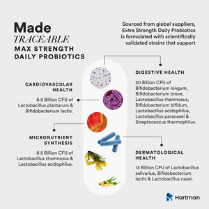 Probióticos de Liberación Prolongada Diarios para la Digestión, la Piel, el Sistema Inmunitario y la Salud, Mezcla de 11 Cepas para un Bienestar Total - Product Image 4