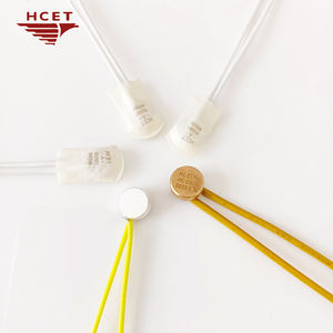 HCET Motor Eléctrico Monofásico de Alta Calidad con Termointerruptor Térmico de 250V - Product Image 3