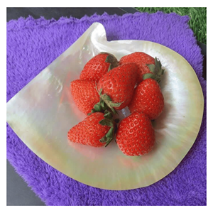 Plateau en nacre, plat en coquille de nacre pour servir des amuse-gueules, décorations de table, origine Vietnam - Product Image 2