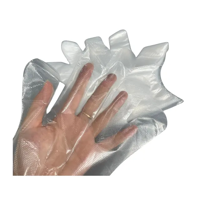 Plastic Gloves Transparent Clear Hand Protection OEM Durable Using For Food Customized Packing Made in Vietnam Manufacturer