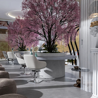 Ensemble de mobilier complet pour salon de beauté avec fauteuil de lavage matelassé blanc, poste de travail central et mur d'onglerie à arche LED