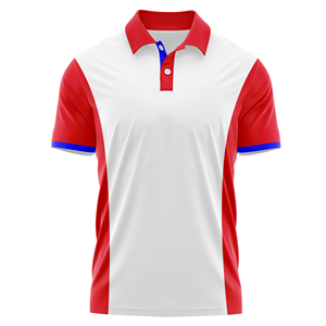 Polo personalizado de alta calidad para hombre, al por mayor Jersey de algodón, bordado 3D, uniforme de evento, serigrafía, hecho en Vietnam - Product Image 1