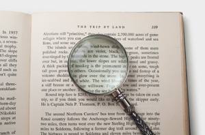 Loupe authentique de style rococo, loupe à main vintage en argent, loupe de lecture pour les journaux, accessoire classique en argent - Product Image 5