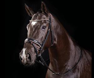 Bride de cheval de l'Ouest en cuir véritable de haute qualité multi-couleur Snaffle pleine taille Logo personnalisé nouvelle bride de cheval noir en gros - Product Image 3