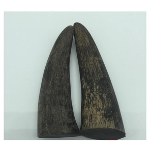 Único hecho a mano COLLAR COLGANTE hueso colmillo colgante hueso de buey colgante hueso de búfalo Real por glowin moda - Product Image 5