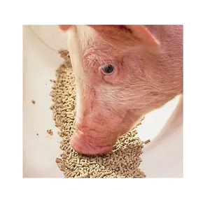 Soybean Hull Pellet Soybean Meal soybean milling soy milk raw materials wholesale suppliers