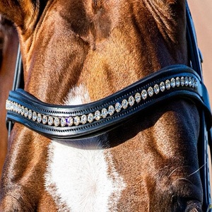 ชุดเดรส Equine brow พร้อมแถบคิ้วหนังรูปม้าดีไซน์โค้งมีประกายระยิบระยับ - Product Image 3