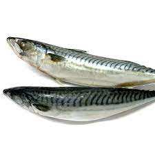 Poisson chinchard congelé de haute qualité Vente en vrac Spécialité de fruits de mer maquereau du Pacifique rond entier - Product Image 2