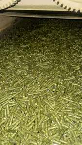 Pellets y Cubos de Alfalfa a Granel para Exportación, Grado Premium, Alimento Animal con Alto Contenido de Proteínas, Promueve la Nutrición, de EE. UU. - Product Image 2