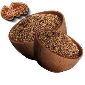 Trèfle Berseem | Bonne rétention d'eau pour les zones sèches - Product Image 2