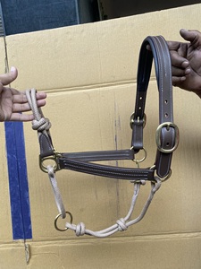 Wholesale Premium Quality English Saddle Horse Equipment Crocodile Printed Anatromic Horse Leather <b>Halter</b> with Crystals - Product Image 5