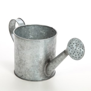 Fabricante y Exportador de Regaderas Metálicas Elegantes, Regadera Galvanizada de Diseño Nuevo Personalizada, Venta al Por Mayor - Product Image 1