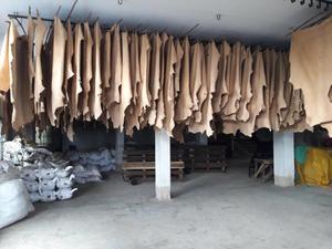 Natural Soft Split Cow Crust Leather para la producción de chaquetas Calzado de moda Bolsos de cuero Premium Cinturones Muebles y sofá - Product Image 2