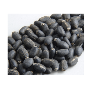 Graines de Jatropha Noir Séchées au Soleil au Meilleur Prix - Product Image 6