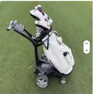 Voiturette de golf électrique neuve avec construction en aluminium durable et batterie au lithium - Product Image 1