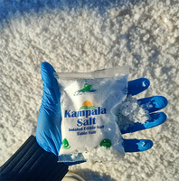 Sel de mer égyptien de qualité supérieure Kampala 200g |   Poudre raffinée blanche pure à 99 %, iodée, durée de conservation de 2 ans, Mr.Salts, sacs en vrac