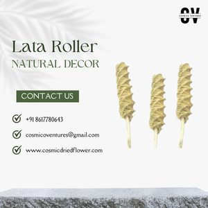 Popular calidad superior al por mayor Natural Lata Roller Lata y creación de vid para arreglos florales secos - Product Image 2