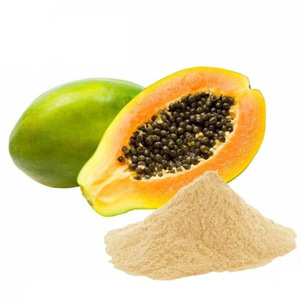 Polvo de fruta de papaya al precio más barato al por mayor papayas en polvo puras producidas en Vietnam para exportación - Product Image 6