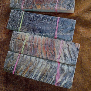 Cuerno Ram óptico/Placa de cuerno de oveja 160-60-6mm por WONDER OVERSEAS - Product Image 1