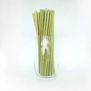 Fournir des pailles à gazon Eco pailles à boire pailles à gazon de haute qualité et à des prix abordables - Product Image 2