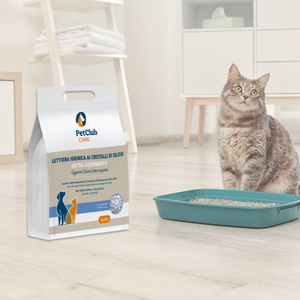 Arena de Sílice Ecológica de 3L, Cristal Súper Absorbente, Absorción Rápida de Líquidos, Higiénica, Antiadherente, Libre de Polvo, Control de Olores - Product Image 2